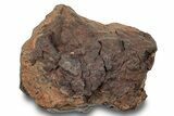 Chondrite Meteorite ( g) - Western Sahara Desert #247558-1